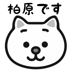 Kashiwabara cat stickers