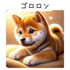 Shiba Inu's Serene Days