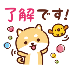 Cute Mameshiba's fun daily stickers.