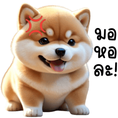 Shiba Cute Dog Tuateung