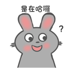迷因兔兔:）