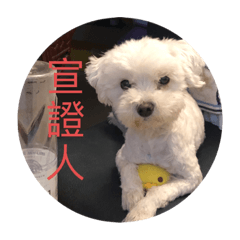 阿多多多多多多