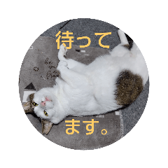 sakura_20231203145147