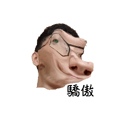 老蔡的臉