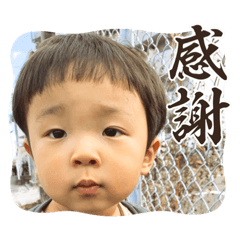 OMO_20231203151551