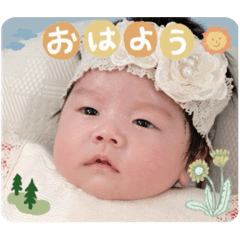 Sakura_20231204110921