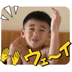 sakura_20231203200552