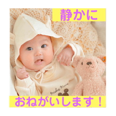 kinokko_20231203223418