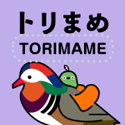 Wild Bird Message Sticker -Torimame5-