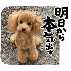 はなちゃんずスタンプ２