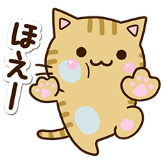 Cute Kijitora cat4