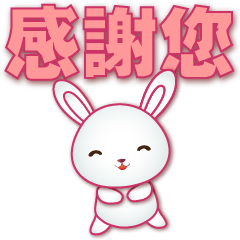 Cute White Rabbit -Practical Phrases