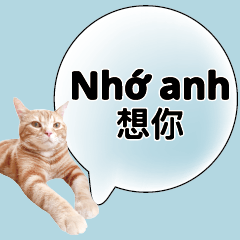Vietnamese Chinese Common conversations1