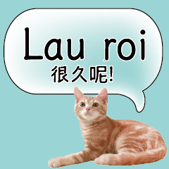 Vietnamese Chinese Common conversations4