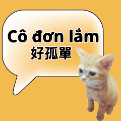 Vietnamese Chinese Common conversations3