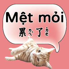 Vietnamese Chinese Common conversations2