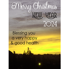 New Year celebration 2024 & Christmas