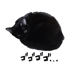 黒猫メダルのマンガ
