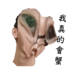 老蔡的圖