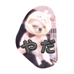 kana_20231205010552