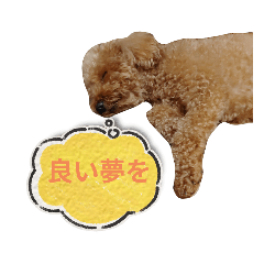 peco_20231204193919