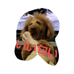 kaNa_20231205074242