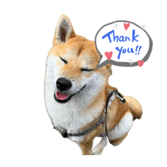 aitan425_20231204230953