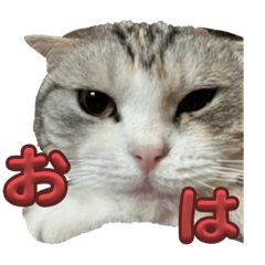 YE_20231205132603