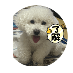 syo_20231204222204
