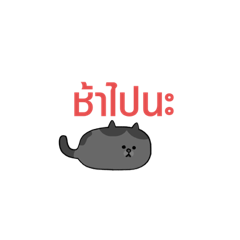 PHORN_20231205153631