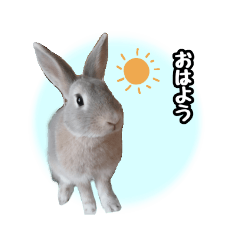 hiyori_20231205143139