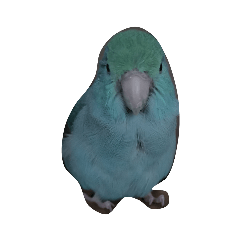 Bird Bao Bao