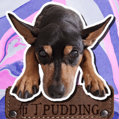 Pudding - The Mini Pin