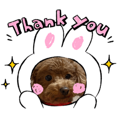 sakura_20231205153832