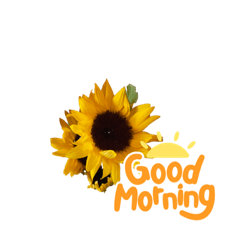 smile.k_20231205180116