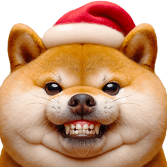 Round and fat Shiba Inu:Merry Christmas.
