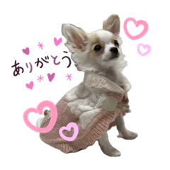 kana_20231205202124