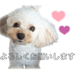 Nao_20231206002538