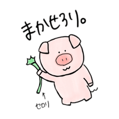 Pikao_20231206103628