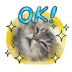 ryuki_20231205212612