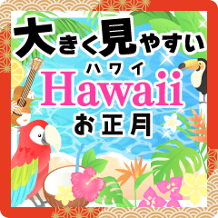 HAWAII-OSHOGATSU-2024-BIG