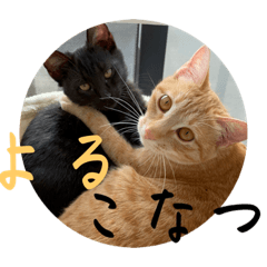 yuka_20231205224859