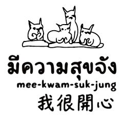 泰文泰國台灣中文國語翻譯可愛貓咪 4