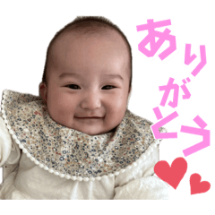 maya_20231206094611