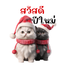 The cats happy new year