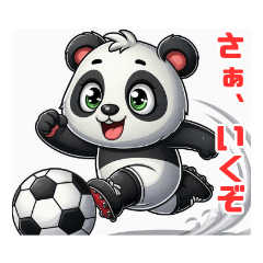 SOCCER PANDA24