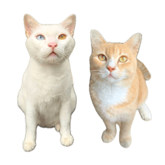 เจ๊าะแจ๊ะ & ป้วนเปี้ยน