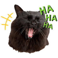 sunny_20231206152014