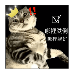 酷酷厭世表情包