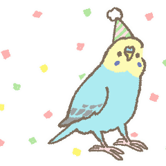 birds_animation02